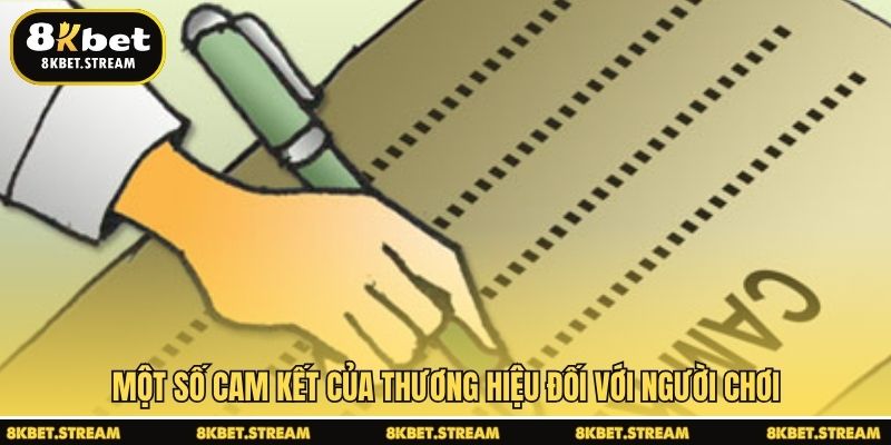 Một số cam kết của thương hiệu đối với người chơi